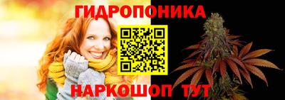 ALPHA PVP Гатчина