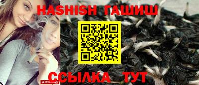 ALPHA PVP Гатчина