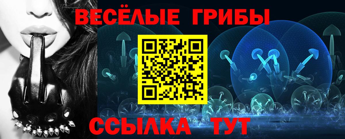 Ишим  закладка  Вход с VPN  Галлюциногенные грибы Cubensis 