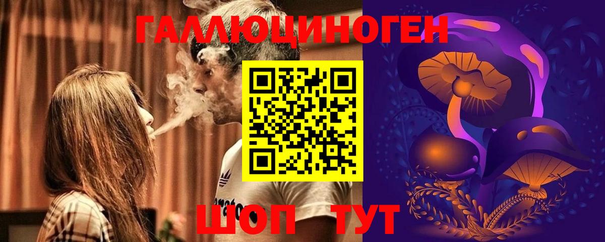Галлюциногенные грибы Psilocybine cubensis Ишим
